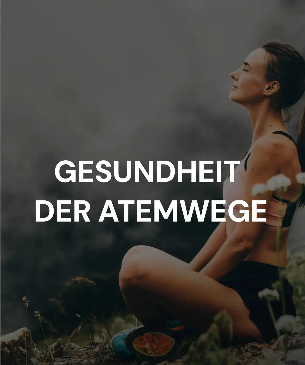 LifestyleCheck Permedio Genetik