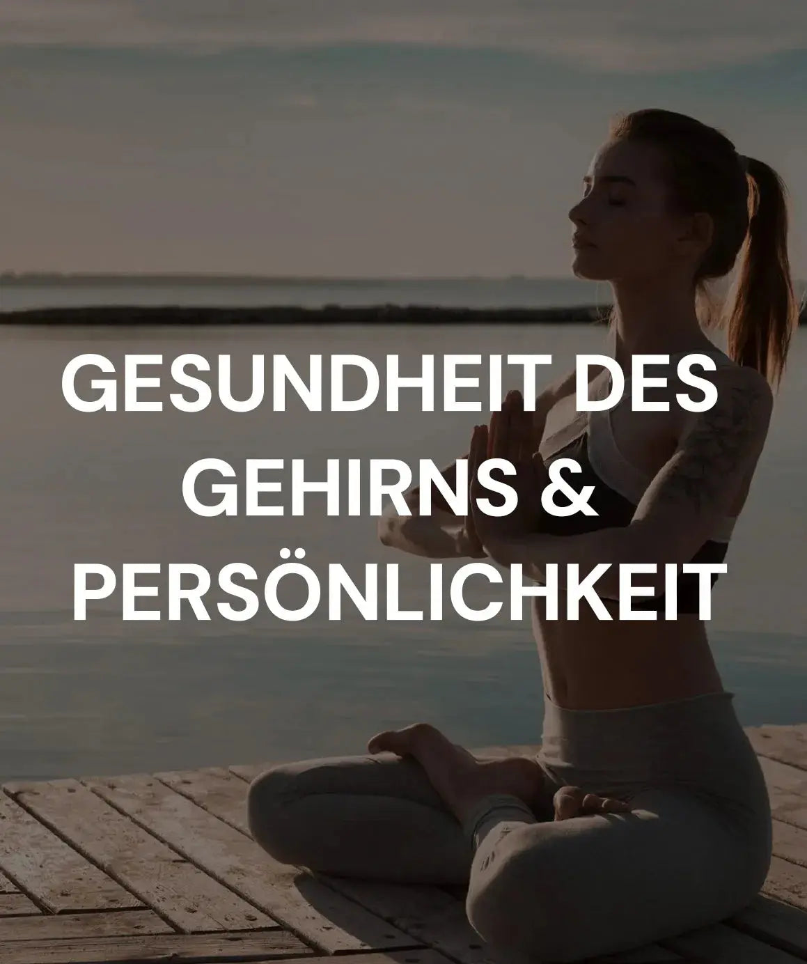 LifestyleCheck Permedio Genetik