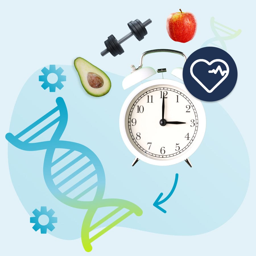 llustration Epigenetik – Wechselwirkung zwischen Genetik, Lebensstil und Gesundheit