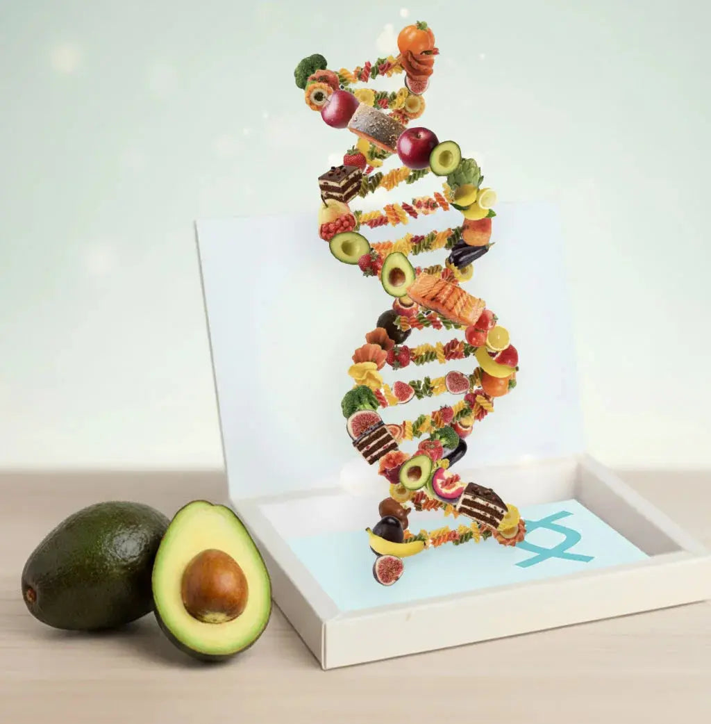 LifestyleCheck Paket