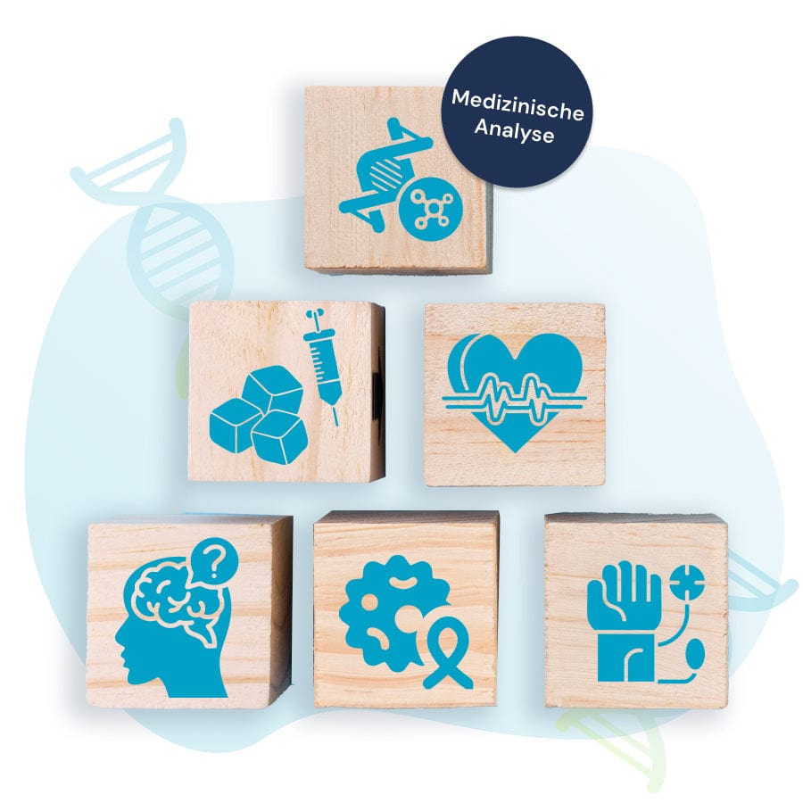 Permedio HealthRiskCheck – Symbole für polygenetische Risikoanalyse zu Herz-Kreislauf, Diabetes, Krebs, Gehirn, Blutdruck und Immunsystem