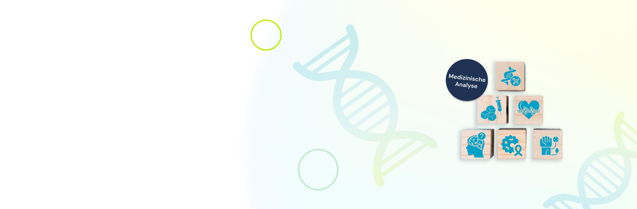 HealthRiskCheck von Permedio – genetische Analyse polygenetischer Krankheitsrisiken“