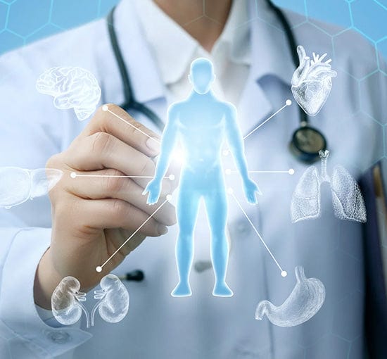 Medizinische Analyse des menschlichen Körpers – genetische Gesundheitsuntersuchung von Herz, Gehirn, Lunge, Nieren und Magen“