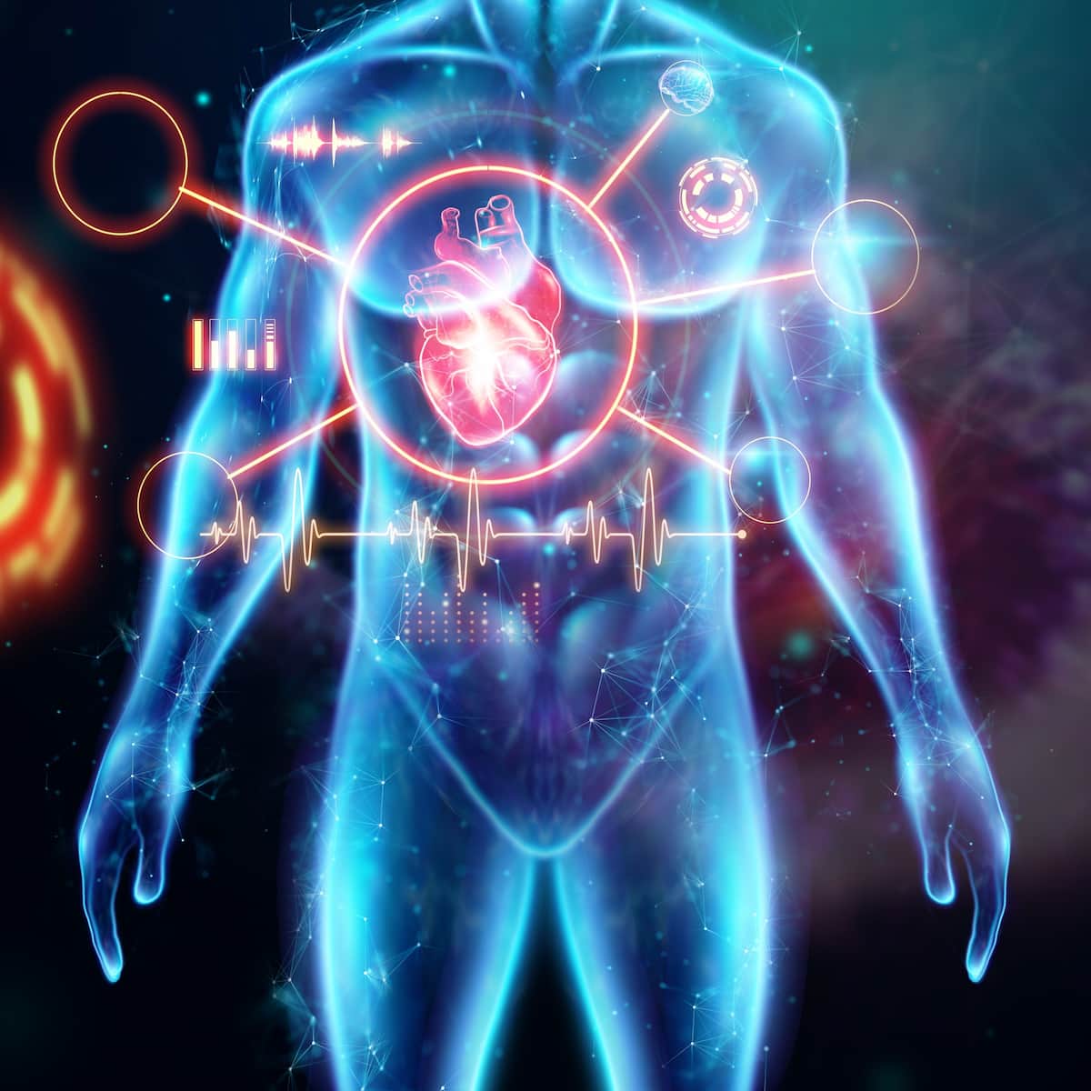 Digitale Herz-Kreislauf-Analyse – Illustration zu Herzgesundheit, Diagnostik und Prävention