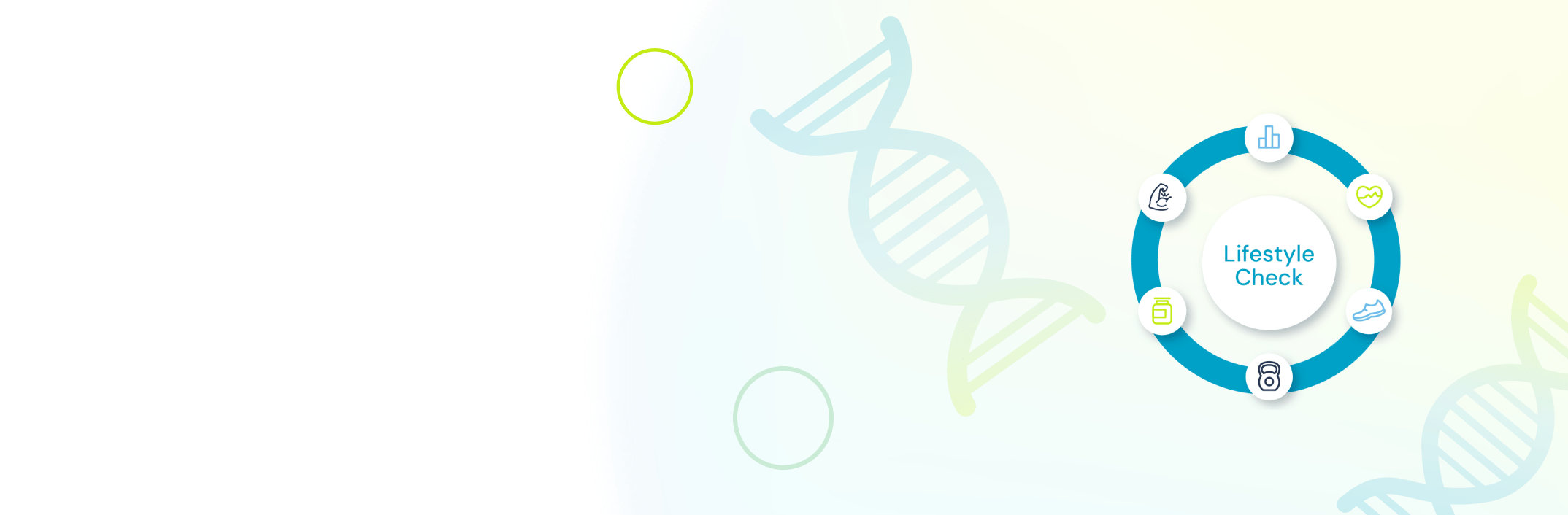 LifestyleCheck von Permedio – DNA-Analyse für Ernährung, Bewegung und Gesundheit
